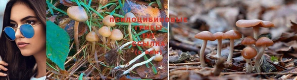 герыч Алексин