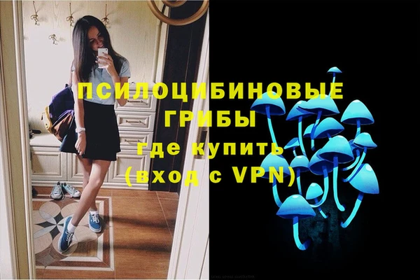 индика Абдулино