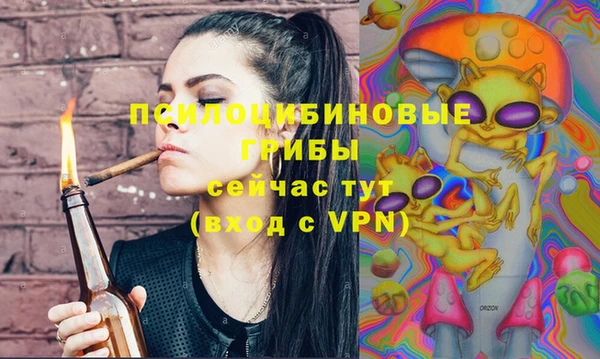 эйфоретик Абинск