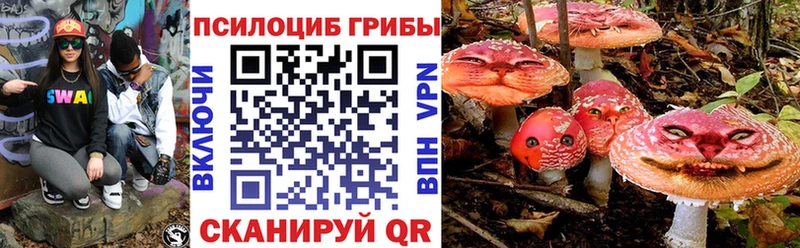 Галлюциногенные грибы GOLDEN TEACHER  гидра рабочий сайт  Дятьково 